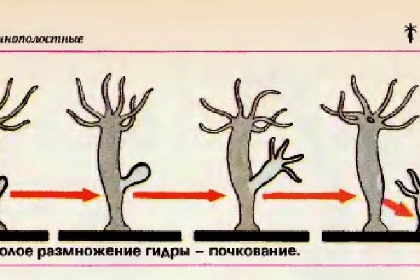 Кракен это современный даркнет маркет плейс