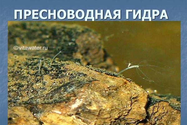 Кракен сайт маркет