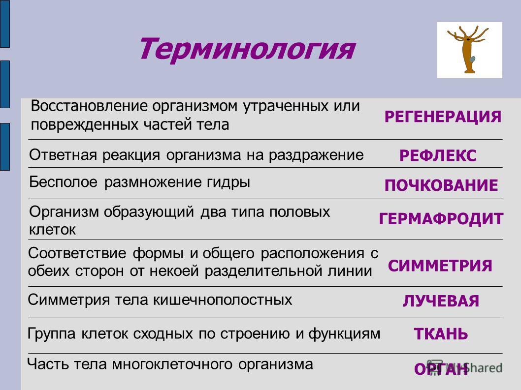 Кракен короткая ссылка